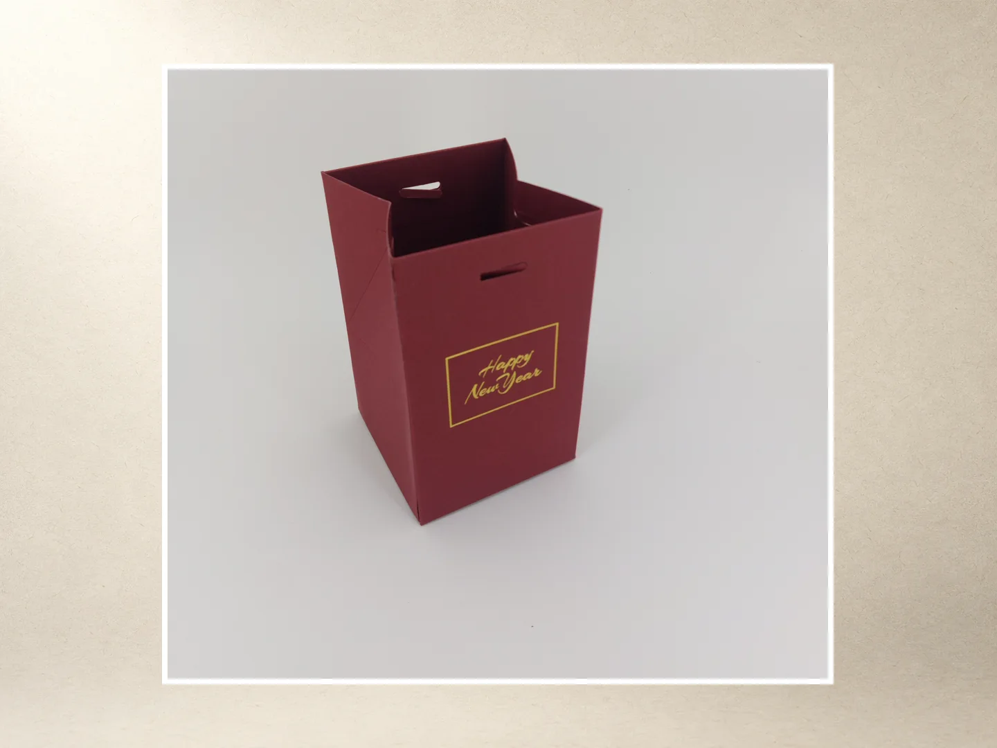 أكياس وعلب حمل — 3