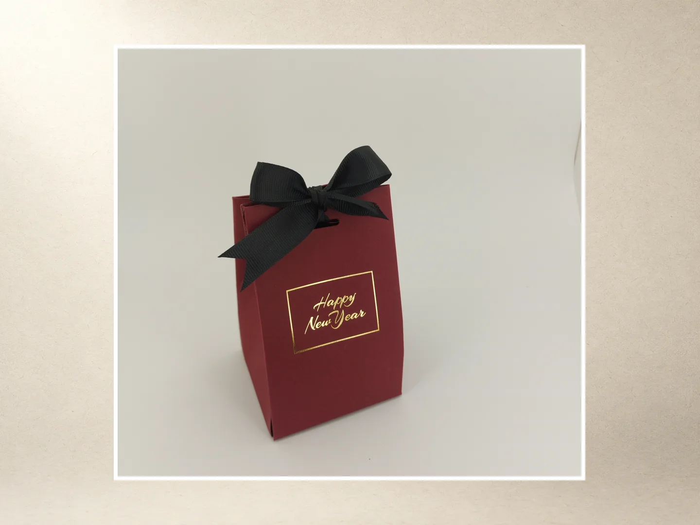 أكياس وعلب حمل — 4